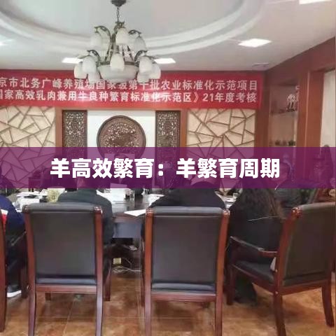 羊高效繁育：羊繁育周期 