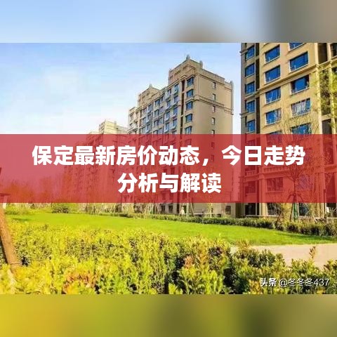 保定最新房价动态，今日走势分析与解读