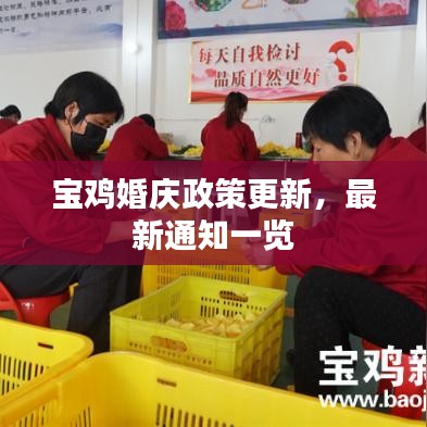 宝鸡婚庆政策更新，最新通知一览