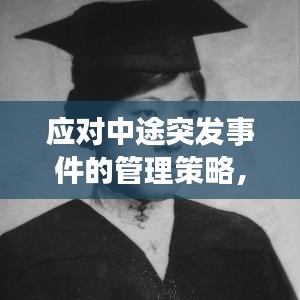 应对中途突发事件的管理策略，关键措施与应对之道