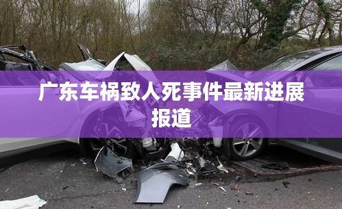 广东车祸致人死事件最新进展报道