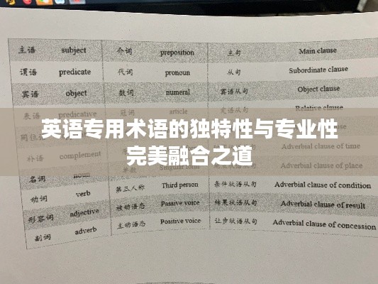 英语专用术语的独特性与专业性完美融合之道