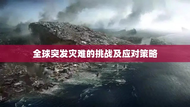 全球突发灾难的挑战及应对策略