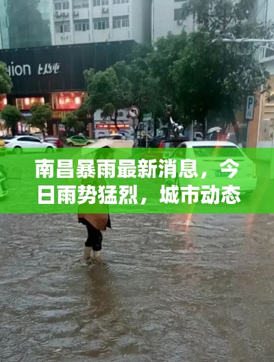 南昌暴雨最新消息，今日雨势猛烈，城市动态一网打尽！