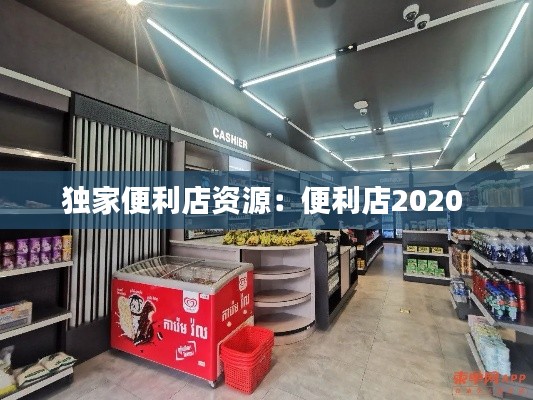独家便利店资源：便利店2020 