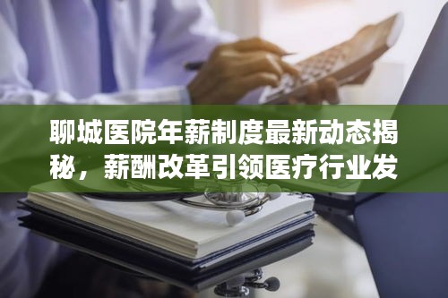 聊城医院年薪制度最新动态揭秘，薪酬改革引领医疗行业发展！