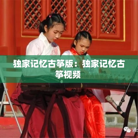 独家记忆古筝版：独家记忆古筝视频 