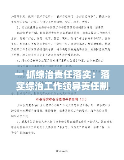 一 抓综治责任落实：落实综治工作领导责任制 