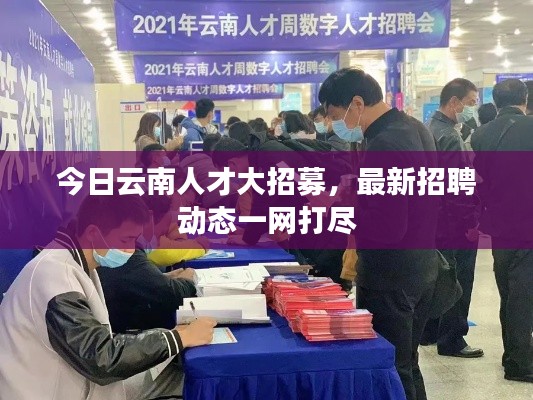 今日云南人才大招募，最新招聘动态一网打尽