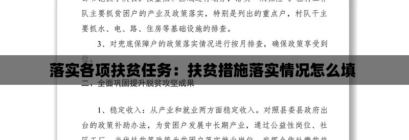 落实各项扶贫任务：扶贫措施落实情况怎么填 