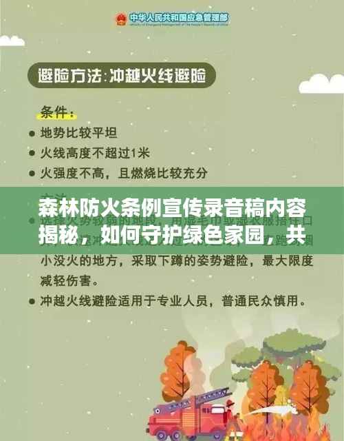 飞龙在天 第2页