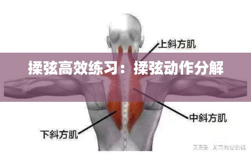 和为贵 第2页