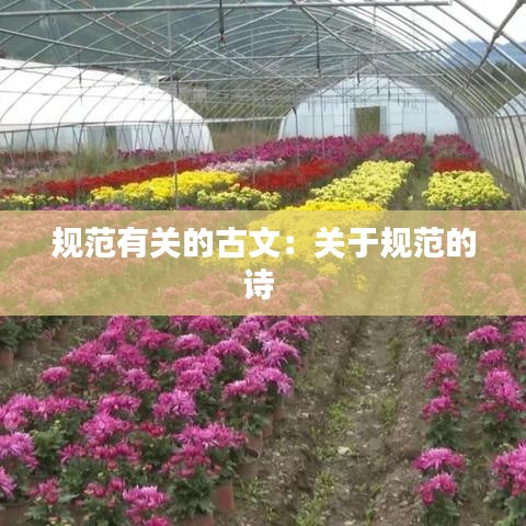 规范有关的古文：关于规范的诗 