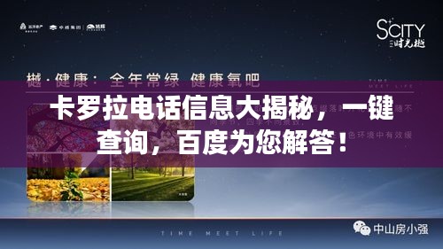 卡罗拉电话信息大揭秘，一键查询，百度为您解答！
