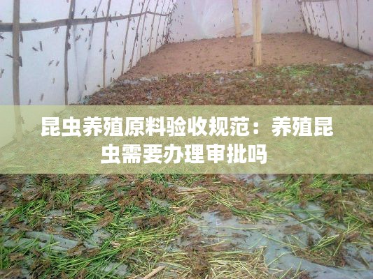 昆虫养殖原料验收规范：养殖昆虫需要办理审批吗 