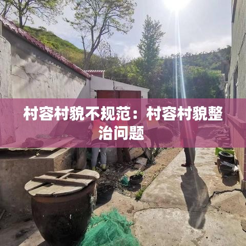村容村貌不规范：村容村貌整治问题 