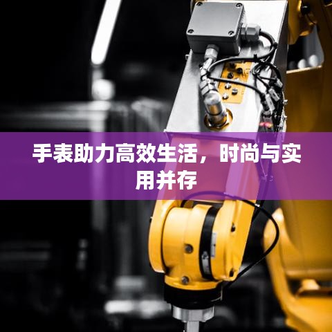 手表助力高效生活，时尚与实用并存