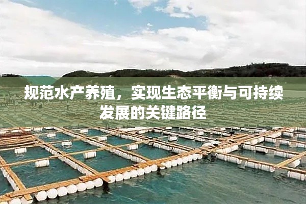 规范水产养殖，实现生态平衡与可持续发展的关键路径