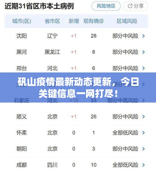 矾山疫情最新动态更新，今日关键信息一网打尽！
