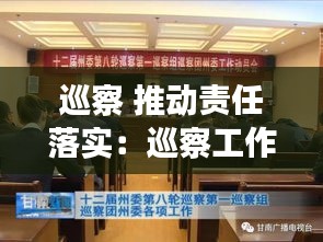 巡察 推动责任落实：巡察工作任务重 