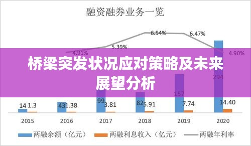 桥梁突发状况应对策略及未来展望分析