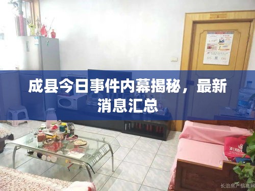 成县今日事件内幕揭秘，最新消息汇总