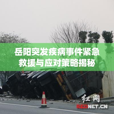 东张西望