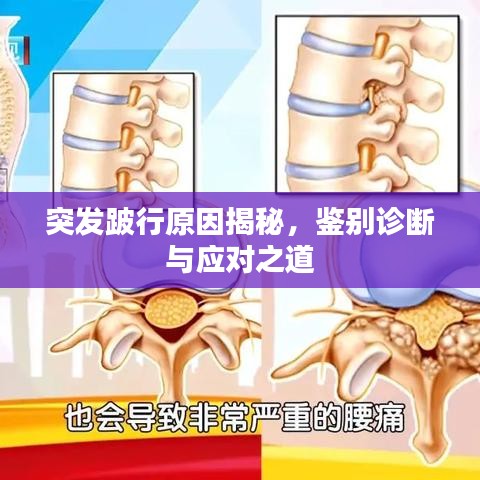 突发跛行原因揭秘，鉴别诊断与应对之道