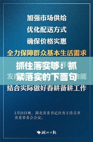 抓住落实够：抓紧落实的下面句子 