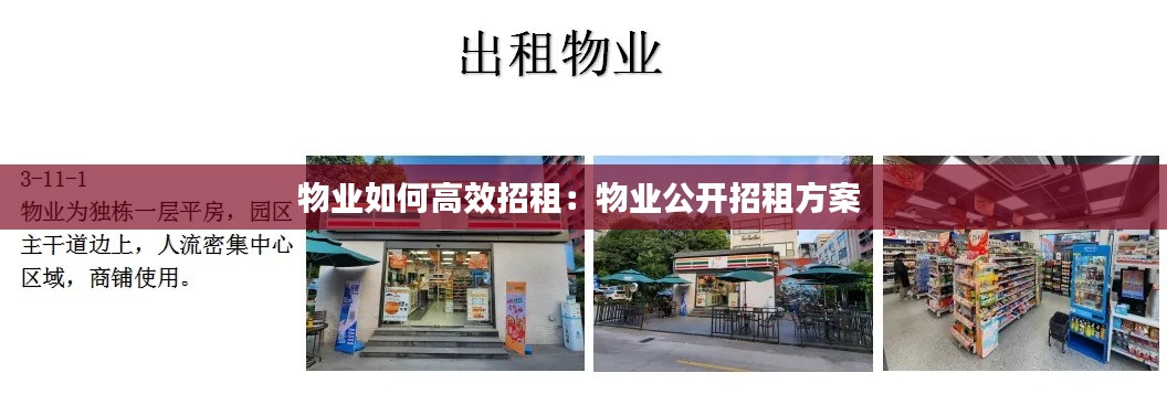 物业如何高效招租：物业公开招租方案 