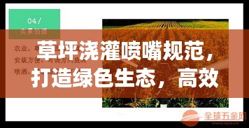 草坪浇灌喷嘴规范，打造绿色生态，高效节水灌溉秘籍揭秘！