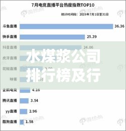 水煤浆公司排行榜及行业影响力解析
