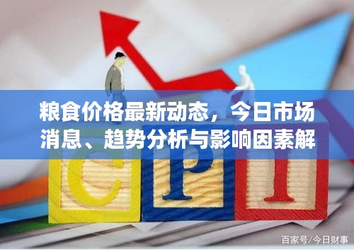 粮食价格最新动态，今日市场消息、趋势分析与影响因素解读