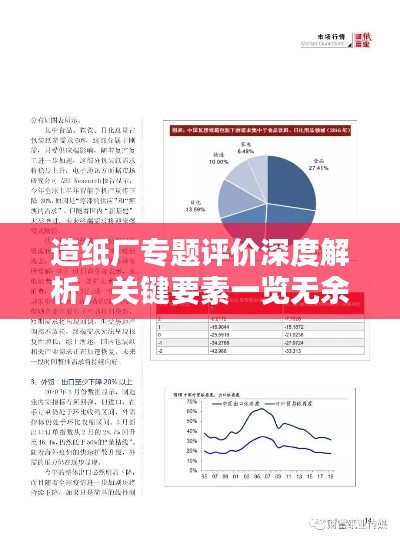 造纸厂专题评价深度解析，关键要素一览无余！