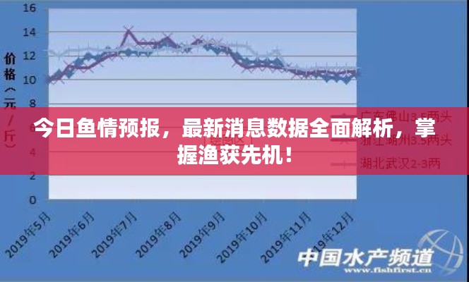 今日鱼情预报，最新消息数据全面解析，掌握渔获先机！