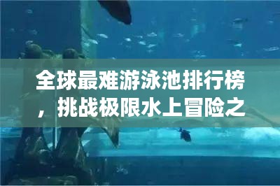 全球最难游泳池排行榜，挑战极限水上冒险之旅！