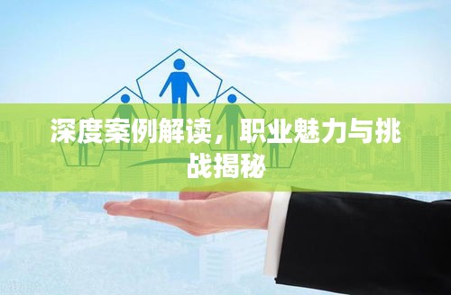 深度案例解读，职业魅力与挑战揭秘