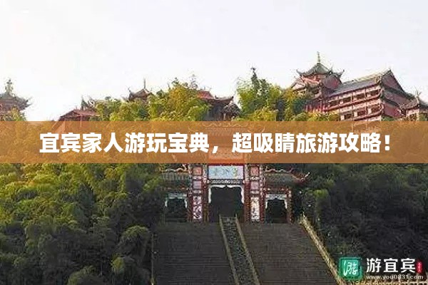 宜宾家人游玩宝典，超吸睛旅游攻略！