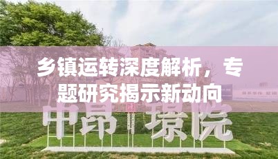乡镇运转深度解析，专题研究揭示新动向