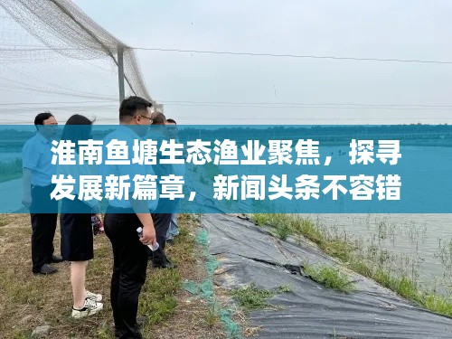淮南鱼塘生态渔业聚焦，探寻发展新篇章，新闻头条不容错过