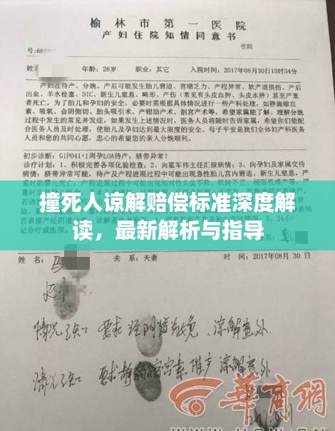 撞死人谅解赔偿标准深度解读，最新解析与指导