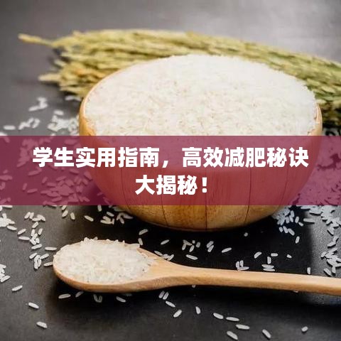 学生实用指南，高效减肥秘诀大揭秘！