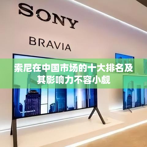 索尼在中国市场的十大排名及其影响力不容小觑