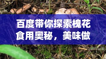小家碧玉 第2页