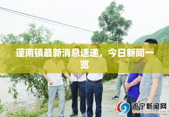 蓬南镇最新消息速递，今日新闻一览
