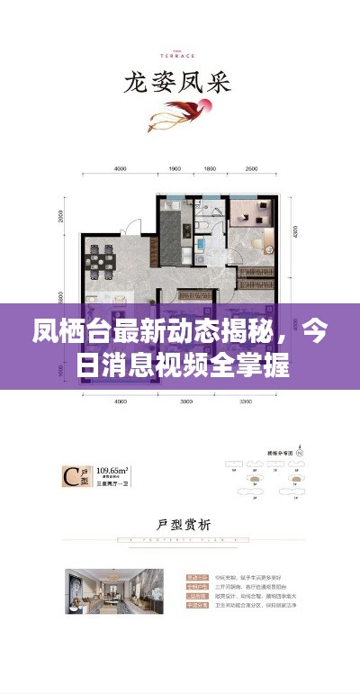 凤栖台最新动态揭秘，今日消息视频全掌握