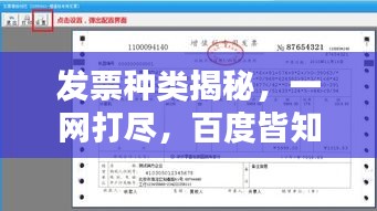 发票种类揭秘，一网打尽，百度皆知！
