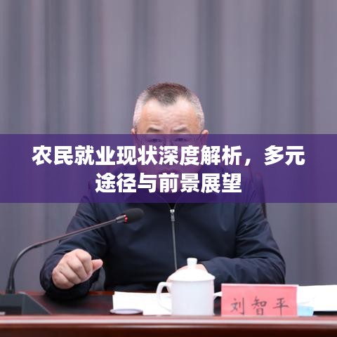 农民就业现状深度解析，多元途径与前景展望