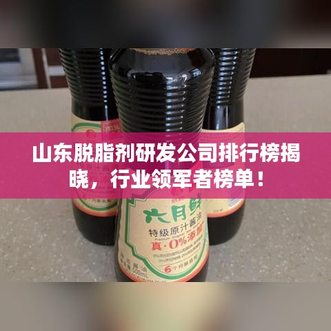 山东脱脂剂研发公司排行榜揭晓，行业领军者榜单！