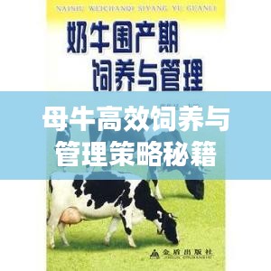 母牛高效饲养与管理策略秘籍